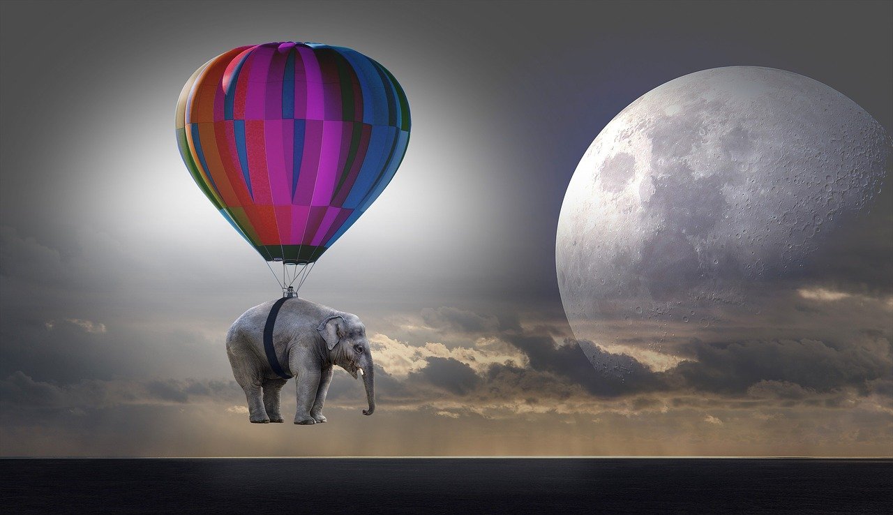 Quando acordei, o elefante não estava mais lá