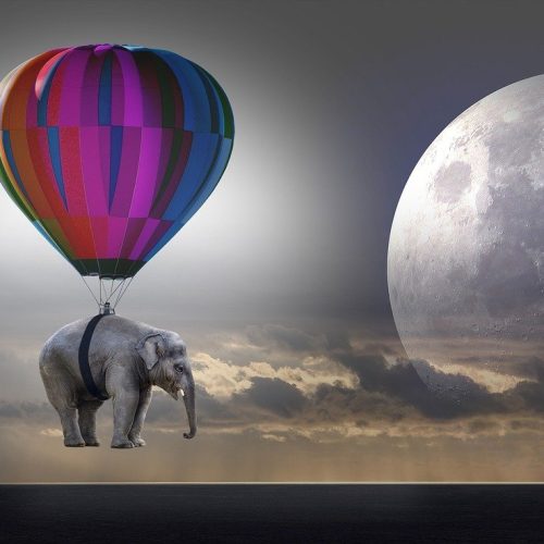 Quando acordei, o elefante não estava mais lá