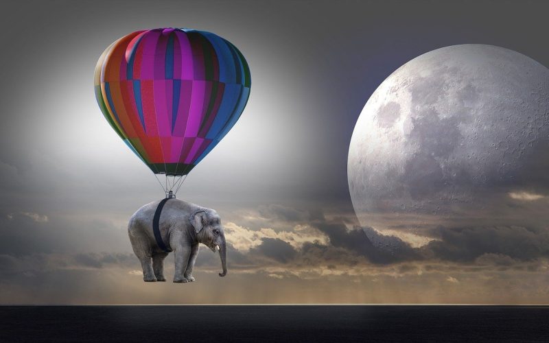 Quando acordei, o elefante não estava mais lá