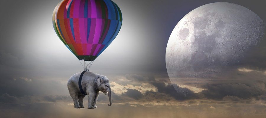 Quando acordei, o elefante não estava mais lá