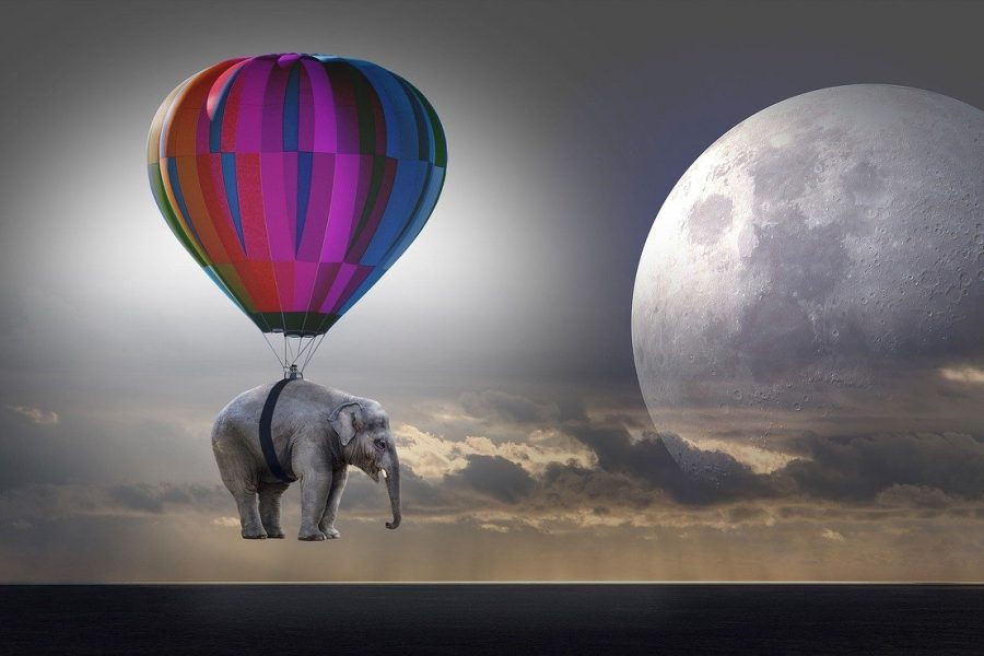 Quando acordei, o elefante não estava mais lá
